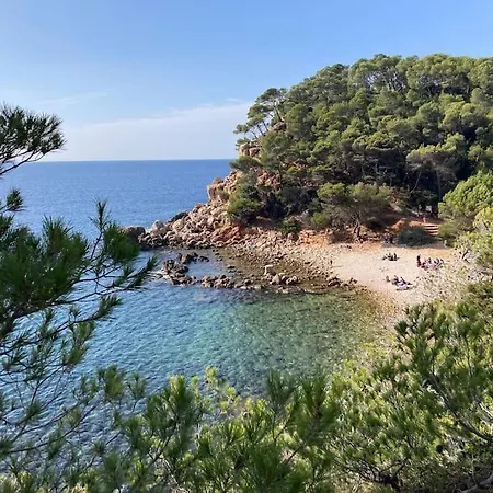Appartement Roc Vue Grand T3 Face A La Avec Parking Bandol